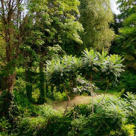 Apartment Bb Lago Nel Pagliaio Taino Zewnętrze zdjęcie